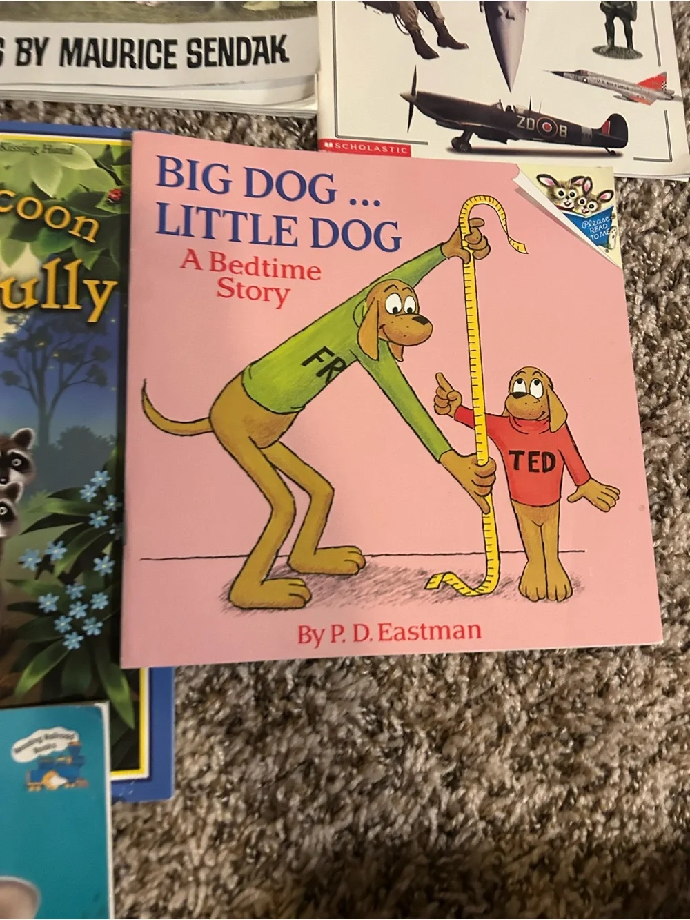 Assorted Kids Picture Books - Lot of 10